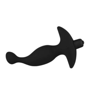 anal plug & prostate massager for new player